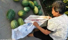 鹤壁吃瓜最新事件爆料,揭秘背后惊人真相，网络热议持续升温